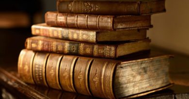 Книги в коже — украшение домашней библиотеки Книги в коже — украшение домашней библиотеки