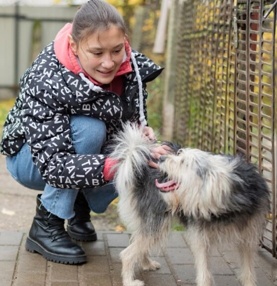 Приют "Домик Спасенных Душ" 